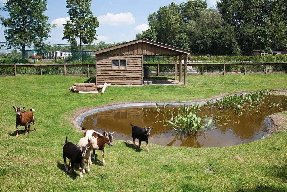 Europarcs De Biesbosch Otel Willemsdorp Dış mekan fotoğraf